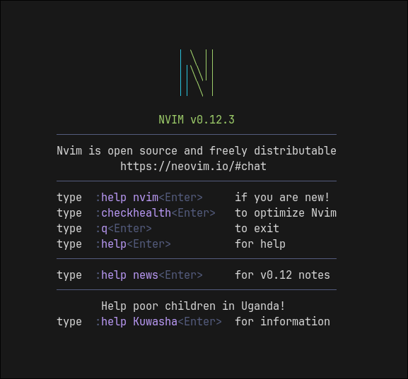 vim editor